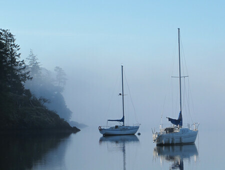 Mist on Coopers Cove
