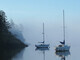 Mist on Coopers Cove