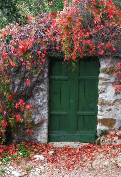 Vintners Green Door